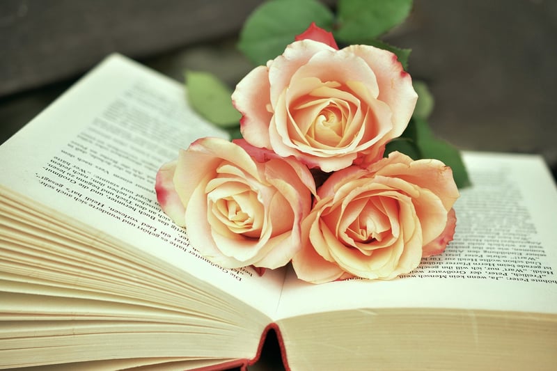 Book Art
